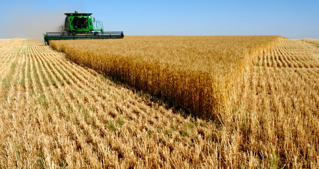 Mezőgazdasági munka