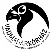Vadmadárkórház Természetvédelmi Alapítvány A Vadon Élő Madarak Megmentéséért