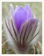 Cserhát Természeti és Kulturális Értékeiért Alapítvány