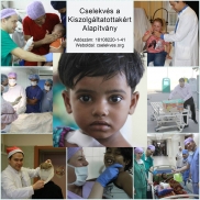 Cselekvés a Kiszolgáltatottakért Alapítvány