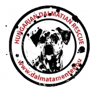 Dalmata Fajtamentő Közhasznú Egyesület