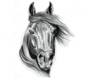 Második-Esély Lóotthon