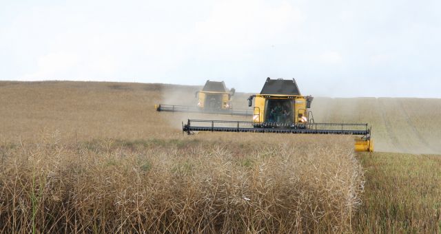 Változások az egyszerűsített foglalkoztatásban: amit 2026-ban tudni érdemes